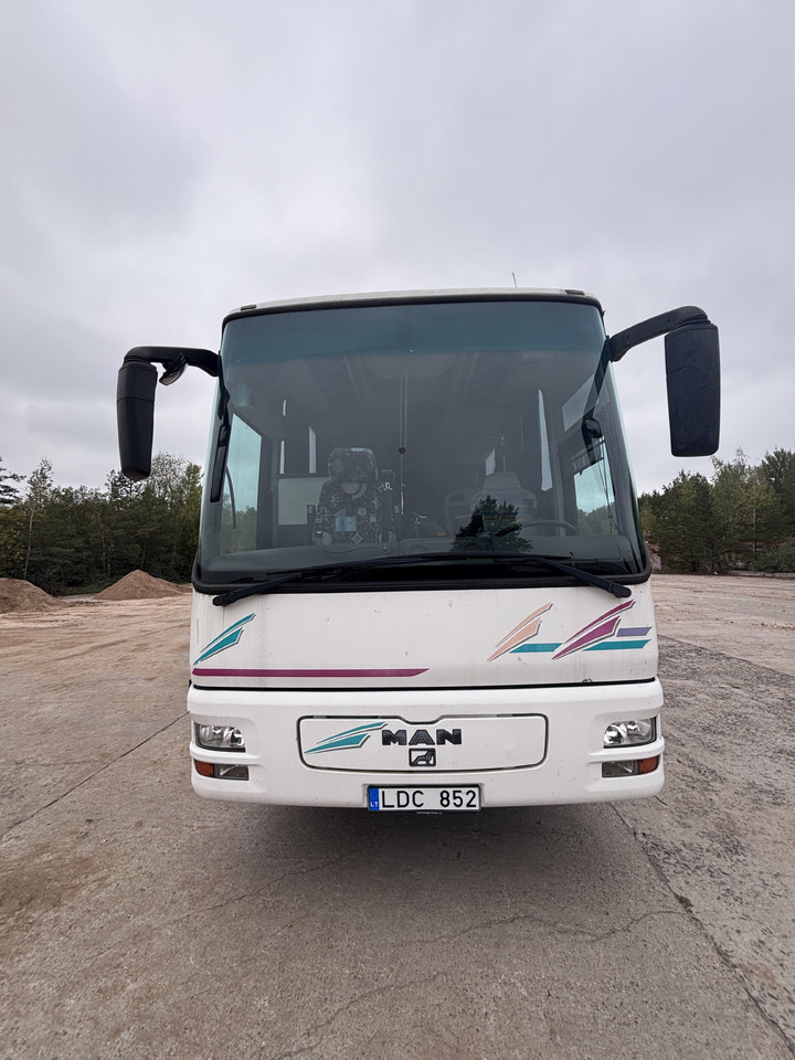 MAN - سياحية حافلة: صور 2 MAN - سياحية حافلة: صور 2