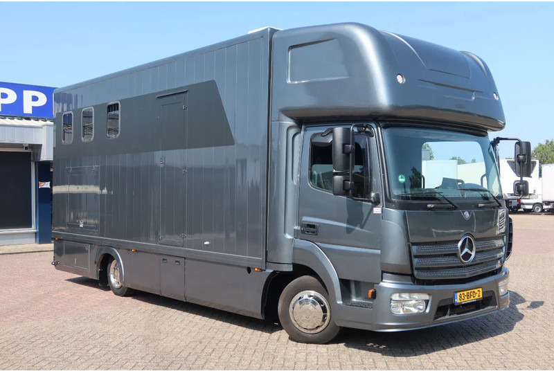 Mercedes-Benz Atego 816 L 3 Paarden/4 Ponies Nieuwe APK + nieuwe accu. - شاحنة نقل خيل: صور 2 Mercedes-Benz Atego 816 L 3 Paarden/4 Ponies Nieuwe APK + nieuwe accu. - شاحنة نقل خيل: صور 2