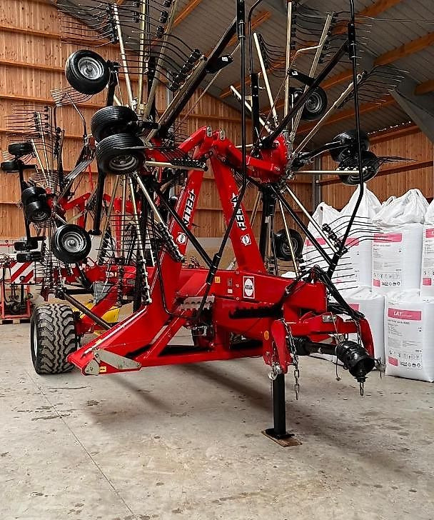 J.Reiff Sarl
Herr Stefan Neukirch - 77 Z.I in den - لمّامَة القش: صور 1 J.Reiff Sarl
Herr Stefan Neukirch - 77 Z.I in den - لمّامَة القش: صور 1