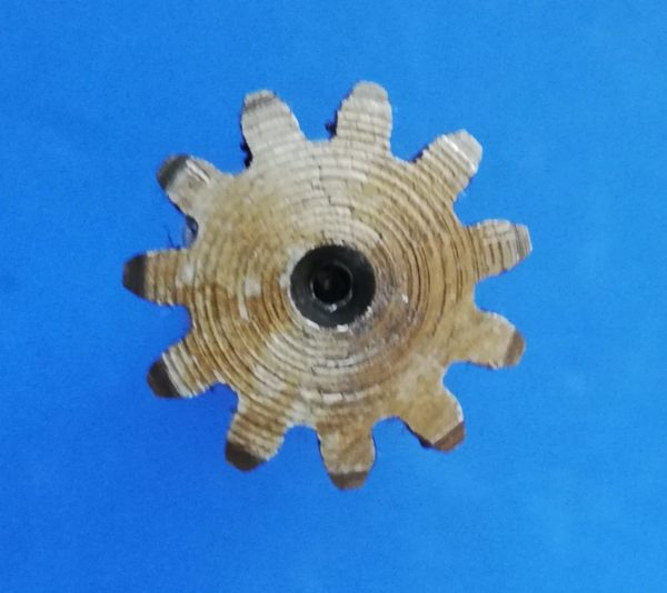 020390A Wałek silnika jazdy Takeuchi TB016, Kubota KX41-3V - محرك هيدروليكي - آلات البناء: صور 5 020390A Wałek silnika jazdy Takeuchi TB016, Kubota KX41-3V - محرك هيدروليكي - آلات البناء: صور 5