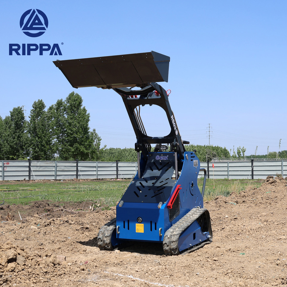 Rippa RS03 skid steer loader B&S engine EPA dealer more favorable - شيول صغير: صور 3 Rippa RS03 skid steer loader B&S engine EPA dealer more favorable - شيول صغير: صور 3