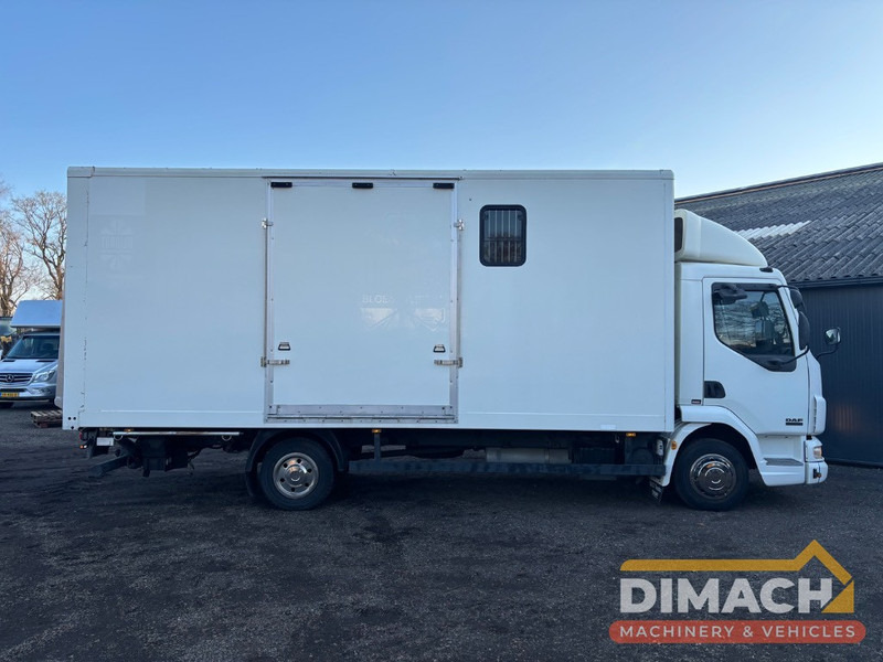DAF FA LF45.150 4 paards, laadlift. Horsetruck NL truck - شاحنة نقل خيل: صور 4 DAF FA LF45.150 4 paards, laadlift. Horsetruck NL truck - شاحنة نقل خيل: صور 4