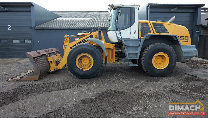 Liebherr L556 Like new!! Airco, quick coupler, skeleton bucket with teeths - لودر: صور 1 Liebherr L556 Like new!! Airco, quick coupler, skeleton bucket with teeths - لودر: صور 1