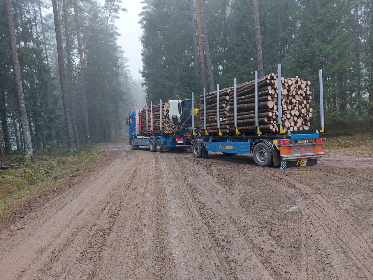 Hydrofast Przyczepa 2 osiowa do drewna stosowego HFP2/2-axle timber trailer HFP2 - مقطورة اخشاب: صور 3 Hydrofast Przyczepa 2 osiowa do drewna stosowego HFP2/2-axle timber trailer HFP2 - مقطورة اخشاب: صور 3