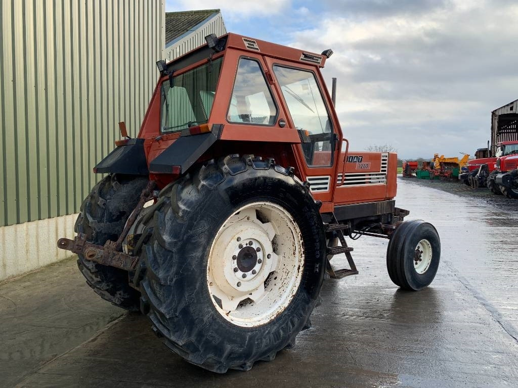 Fiat 1280 Turbo 2WD Tractor - جرار: صور 3 Fiat 1280 Turbo 2WD Tractor - جرار: صور 3