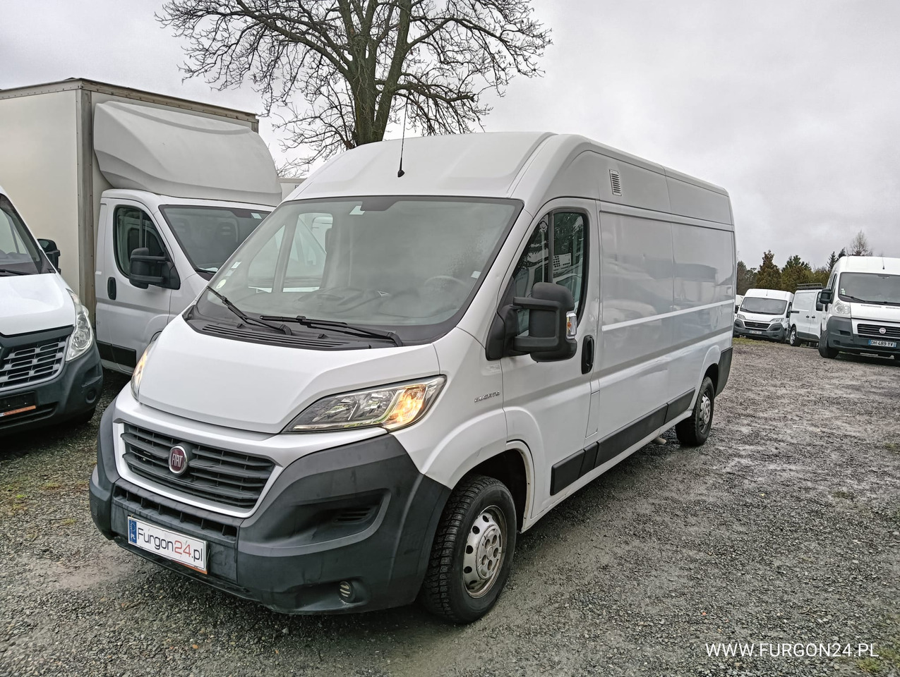 FIAT DUCATO FURGON BLASZAK L3H2 NR 819 - فان المدمجة: صور 1 FIAT DUCATO FURGON BLASZAK L3H2 NR 819 - فان المدمجة: صور 1