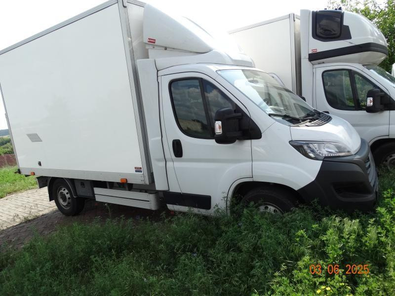 الشاحنات الصغيرة المبردة FIAT DUCATO CHŁODNIA/IZOTERMA: صور 1