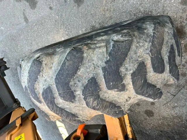 حفار متعدد الاستخدام Case 851EX-SS , 4x4 , Backhoe Loader , 4 in 1 Bucket: صور 16 حفار متعدد الاستخدام Case 851EX-SS , 4x4 , Backhoe Loader , 4 in 1 Bucket: صور 16