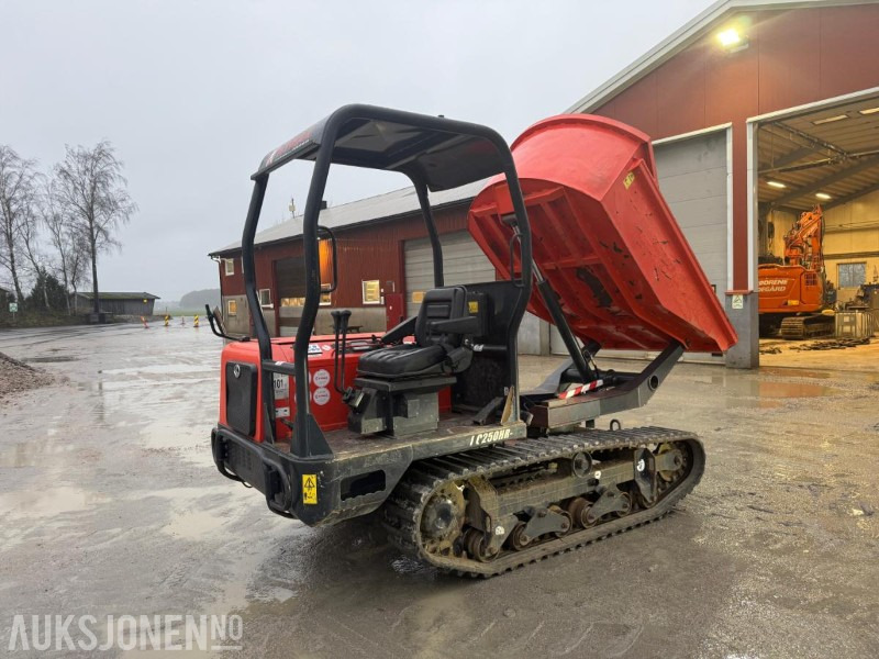 2017 Kubota KC 250 HR-4 RUNDTOMSVINGENDE BELTEDUMPER SERVICEHISTORIKK. - قلابة شاحنة: صور 5 2017 Kubota KC 250 HR-4 RUNDTOMSVINGENDE BELTEDUMPER SERVICEHISTORIKK. - قلابة شاحنة: صور 5