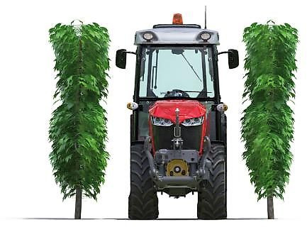 Massey Ferguson MF 3VI105 Efficient - جرار: صور 1 Massey Ferguson MF 3VI105 Efficient - جرار: صور 1