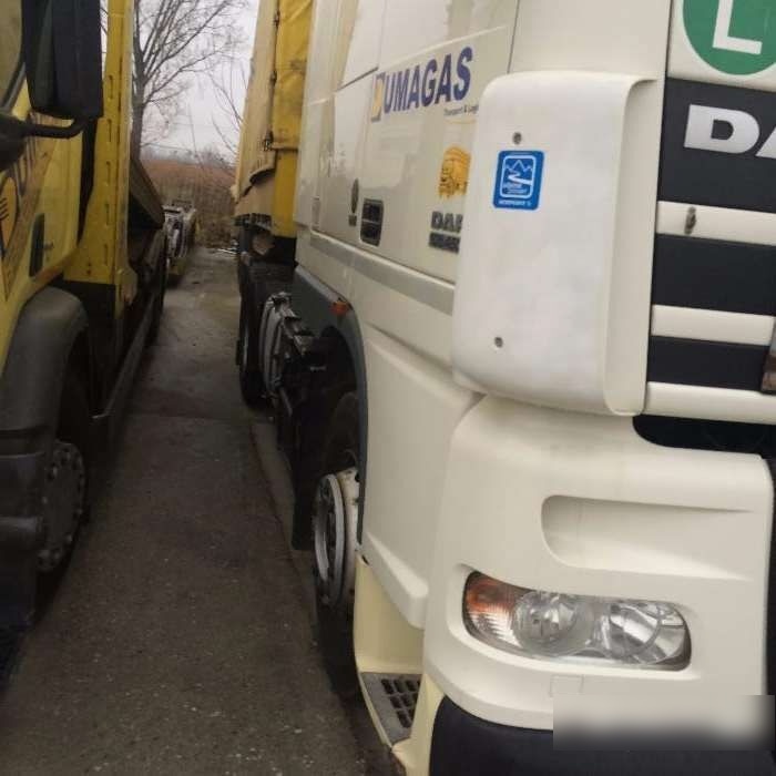 شاحنة جرار DAF Dezmembrari XF 105 EURO 5: صور 8