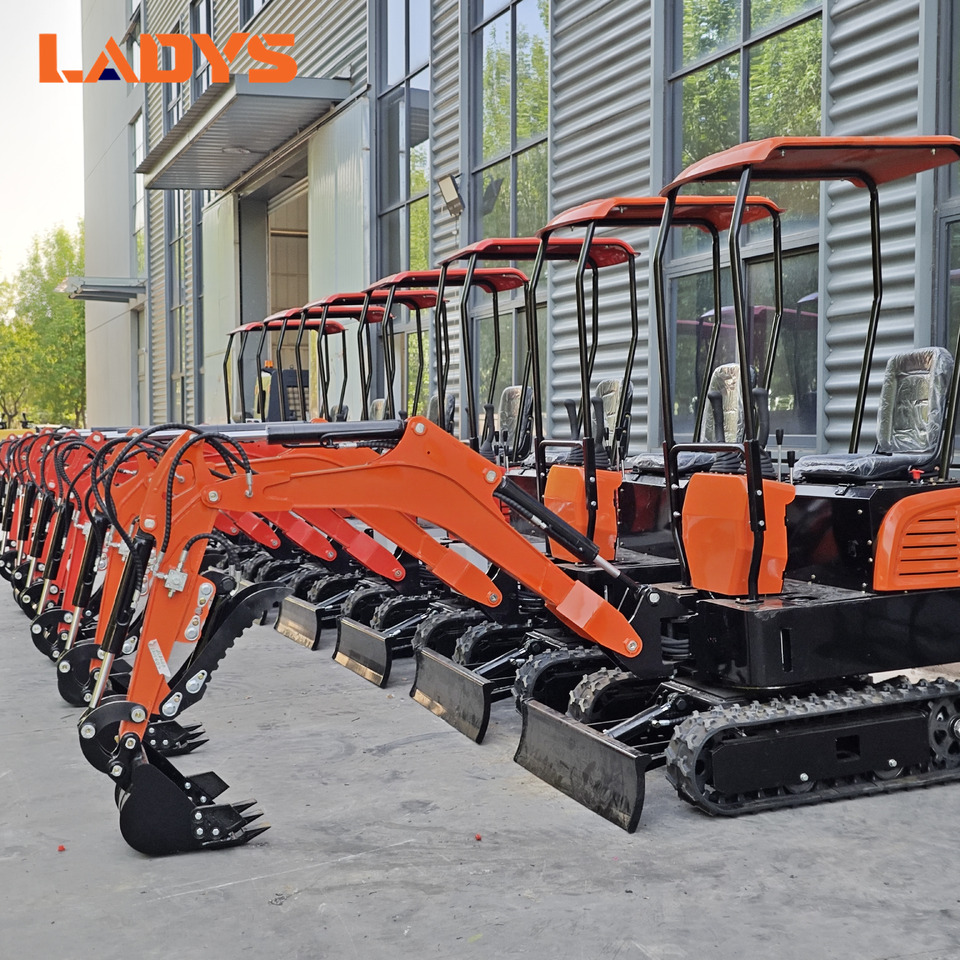 LADYS Mini Excavator CE Certification Kubota Engine(Factory Outlet) Mini Pelle Minibagger Minikoparka Miniexcavadora - حفارة مصغرة: صور 1 LADYS Mini Excavator CE Certification Kubota Engine(Factory Outlet) Mini Pelle Minibagger Minikoparka Miniexcavadora - حفارة مصغرة: صور 1