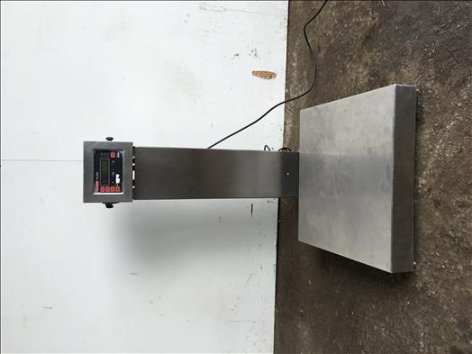 Avery Berkel HL265 tabletop platform scales - آلة الغذاء: صور 1 Avery Berkel HL265 tabletop platform scales - آلة الغذاء: صور 1