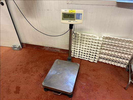 Precia Access Mini400 Platform scale - آلة الغذاء: صور 1 Precia Access Mini400 Platform scale - آلة الغذاء: صور 1