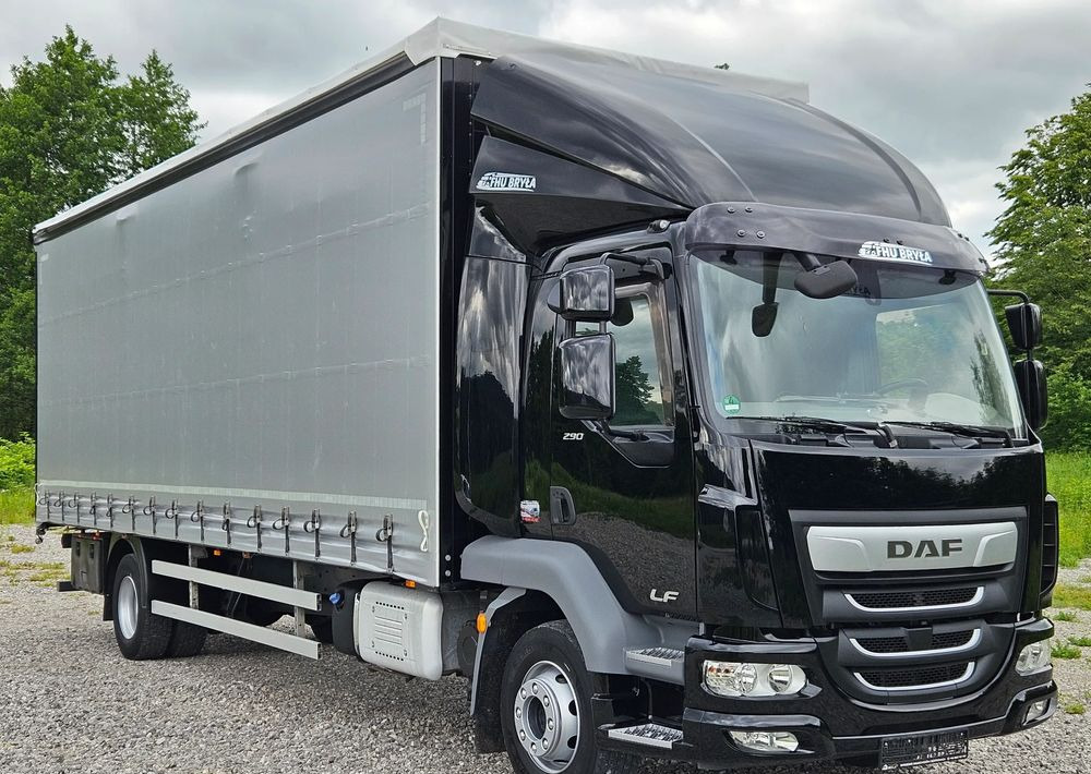 DAF LF 290/WINDA/16TON DMC/FIRANKA/AUTOMAT/16TON DMC/JEDEN WŁAŚCICIE/EURO 6/2019/SPROWADZONY/20PALET/NISKI PRZEBIEG/DUŻA ŁADOWNOŚĆ/JAK NOWY - شاحنة ستارة: صور 2 DAF LF 290/WINDA/16TON DMC/FIRANKA/AUTOMAT/16TON DMC/JEDEN WŁAŚCICIE/EURO 6/2019/SPROWADZONY/20PALET/NISKI PRZEBIEG/DUŻA ŁADOWNOŚĆ/JAK NOWY - شاحنة ستارة: صور 2
