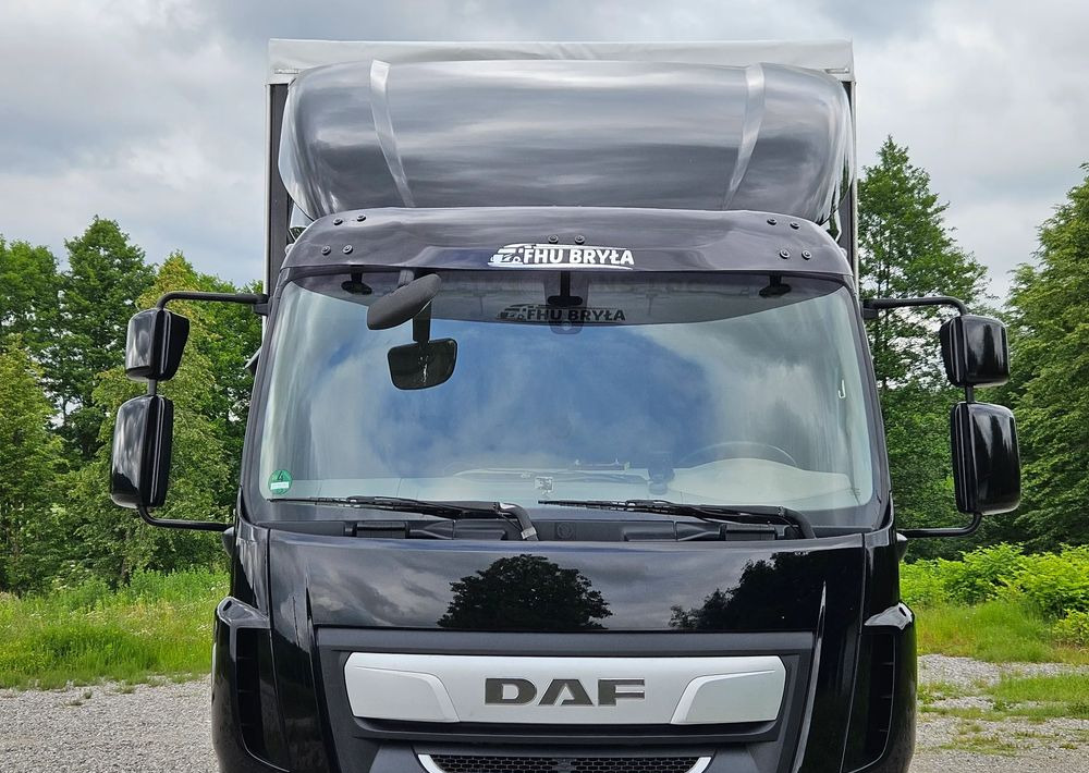 DAF LF 290/WINDA/16TON DMC/FIRANKA/AUTOMAT/16TON DMC/JEDEN WŁAŚCICIE/EURO 6/2019/SPROWADZONY/20PALET/NISKI PRZEBIEG/DUŻA ŁADOWNOŚĆ/JAK NOWY - شاحنة ستارة: صور 5 DAF LF 290/WINDA/16TON DMC/FIRANKA/AUTOMAT/16TON DMC/JEDEN WŁAŚCICIE/EURO 6/2019/SPROWADZONY/20PALET/NISKI PRZEBIEG/DUŻA ŁADOWNOŚĆ/JAK NOWY - شاحنة ستارة: صور 5