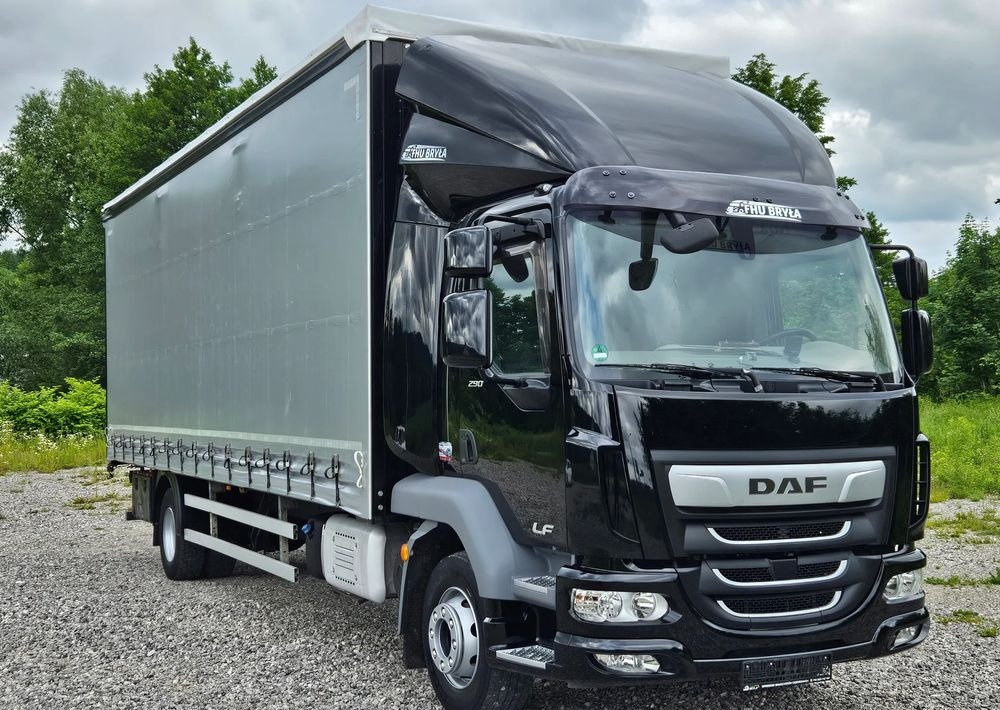DAF LF 290 / WINDA / 16TON DMC / FIRANKA / AUTOMAT / JEDEN WŁAŚCICIE / EURO 6 / 2019 / SPROWADZONY / 20PALET / NISKI PRZEBIEG / DUŻA ŁADOWNOŚĆ / JAK NOWY - شاحنة ستارة: صور 3 DAF LF 290 / WINDA / 16TON DMC / FIRANKA / AUTOMAT / JEDEN WŁAŚCICIE / EURO 6 / 2019 / SPROWADZONY / 20PALET / NISKI PRZEBIEG / DUŻA ŁADOWNOŚĆ / JAK NOWY - شاحنة ستارة: صور 3