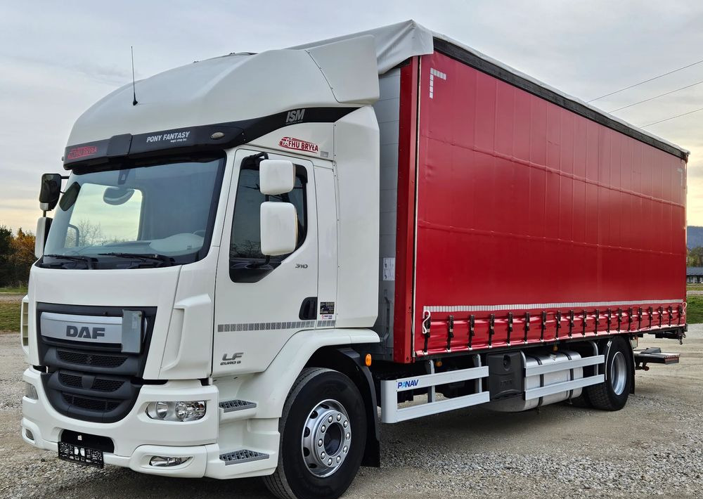 DAF LF 310/WINDA/FIRANKA/NOWE TURBO/NOWE SPRZĘGŁO/EURO 6/SPROWADZONY/20PALET/ŁADOWNOSC 10TON - شاحنة ستارة: صور 2 DAF LF 310/WINDA/FIRANKA/NOWE TURBO/NOWE SPRZĘGŁO/EURO 6/SPROWADZONY/20PALET/ŁADOWNOSC 10TON - شاحنة ستارة: صور 2