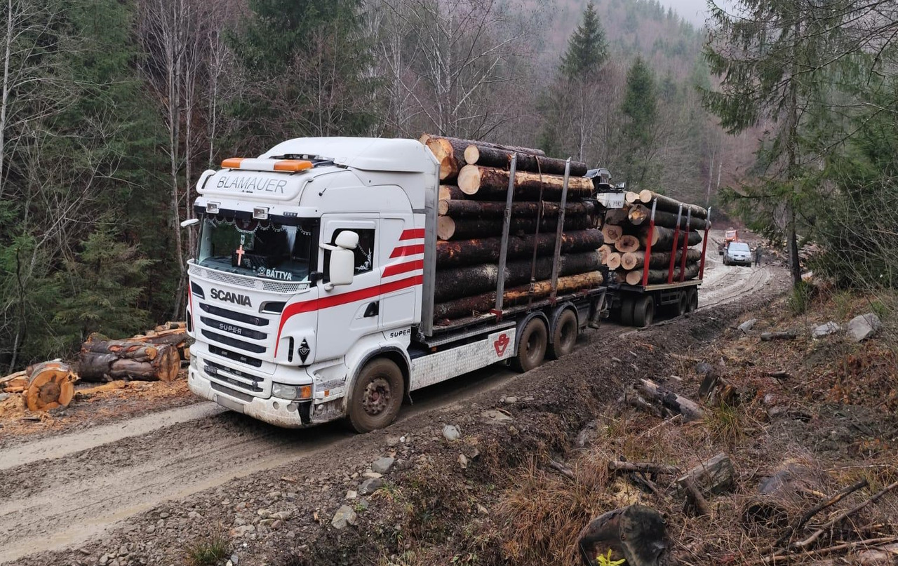 SCANIA R560 V8 - شاحنة قطع الأشجار, شاحنة كرين: صور 2 SCANIA R560 V8 - شاحنة قطع الأشجار, شاحنة كرين: صور 2