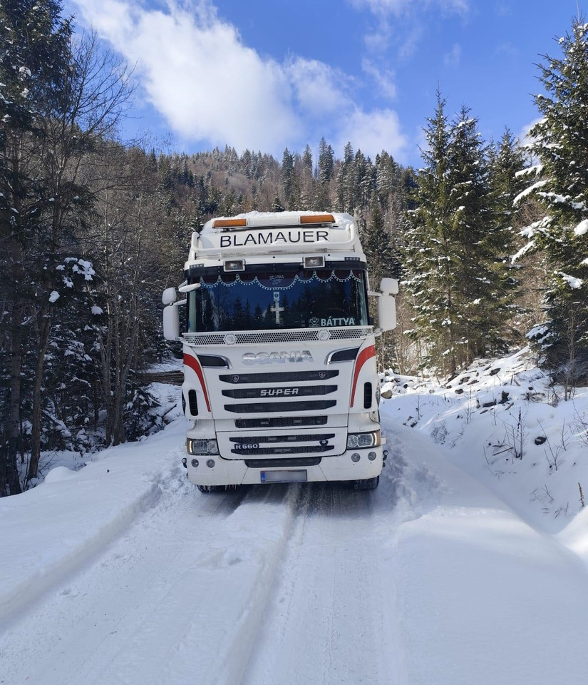 SCANIA R560 V8 - شاحنة قطع الأشجار, شاحنة كرين: صور 4 SCANIA R560 V8 - شاحنة قطع الأشجار, شاحنة كرين: صور 4