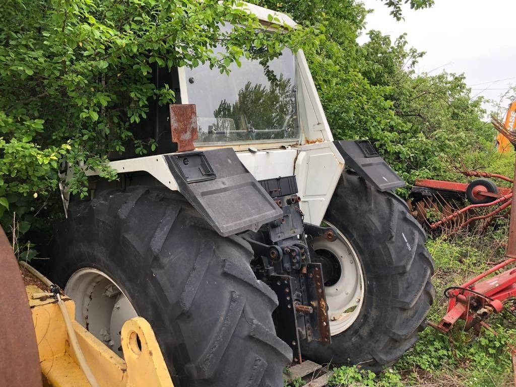 Lamborghini For Parts 1556 DT - جرار: صور 2 Lamborghini For Parts 1556 DT - جرار: صور 2