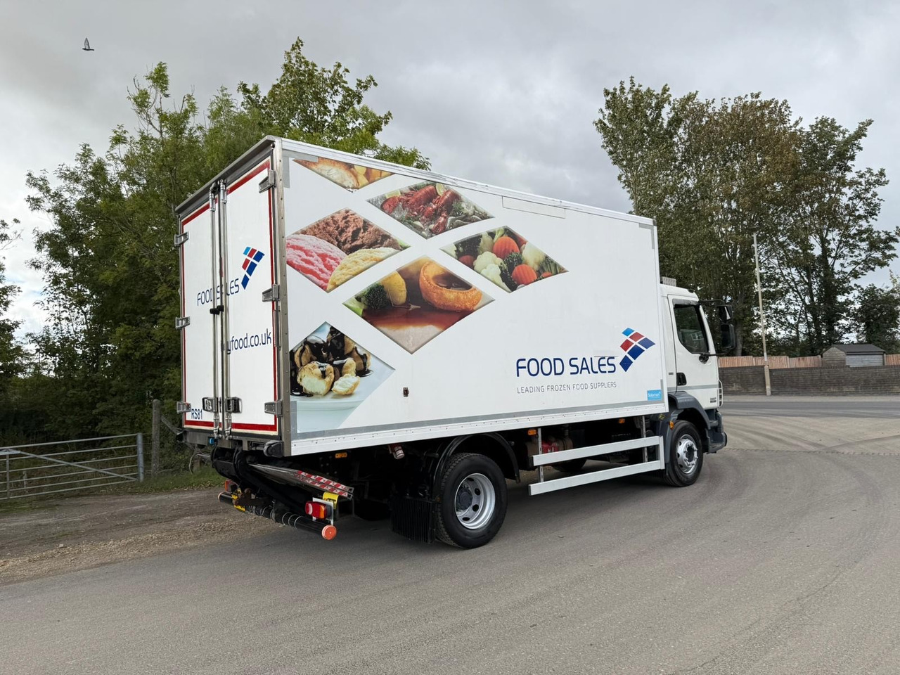 مبردة شاحنة 2013 DAF LF 55 Refrigerated Truck: صور 19
