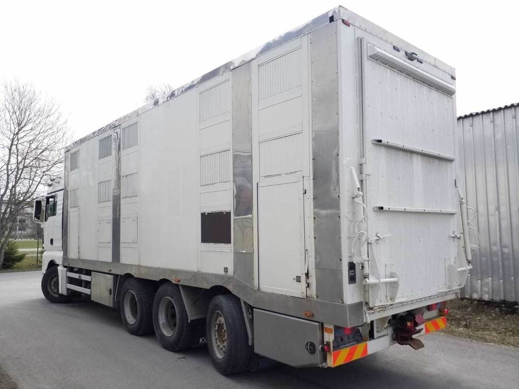 MAN TGX 35.540 8X4 TRIDEM ANIMAL - شاحنة نقل المواشي شاحنة: صور 2 MAN TGX 35.540 8X4 TRIDEM ANIMAL - شاحنة نقل المواشي شاحنة: صور 2
