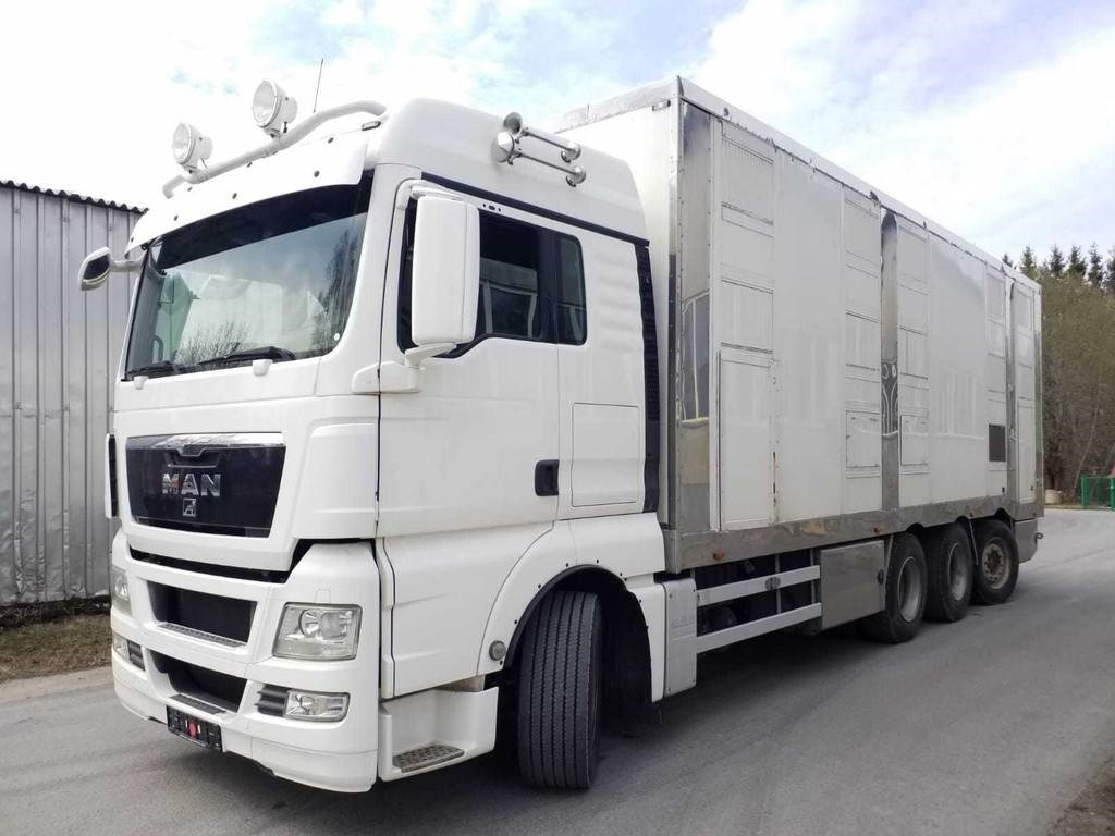 MAN TGX 35.540 8X4 TRIDEM ANIMAL - شاحنة نقل المواشي شاحنة: صور 1 MAN TGX 35.540 8X4 TRIDEM ANIMAL - شاحنة نقل المواشي شاحنة: صور 1