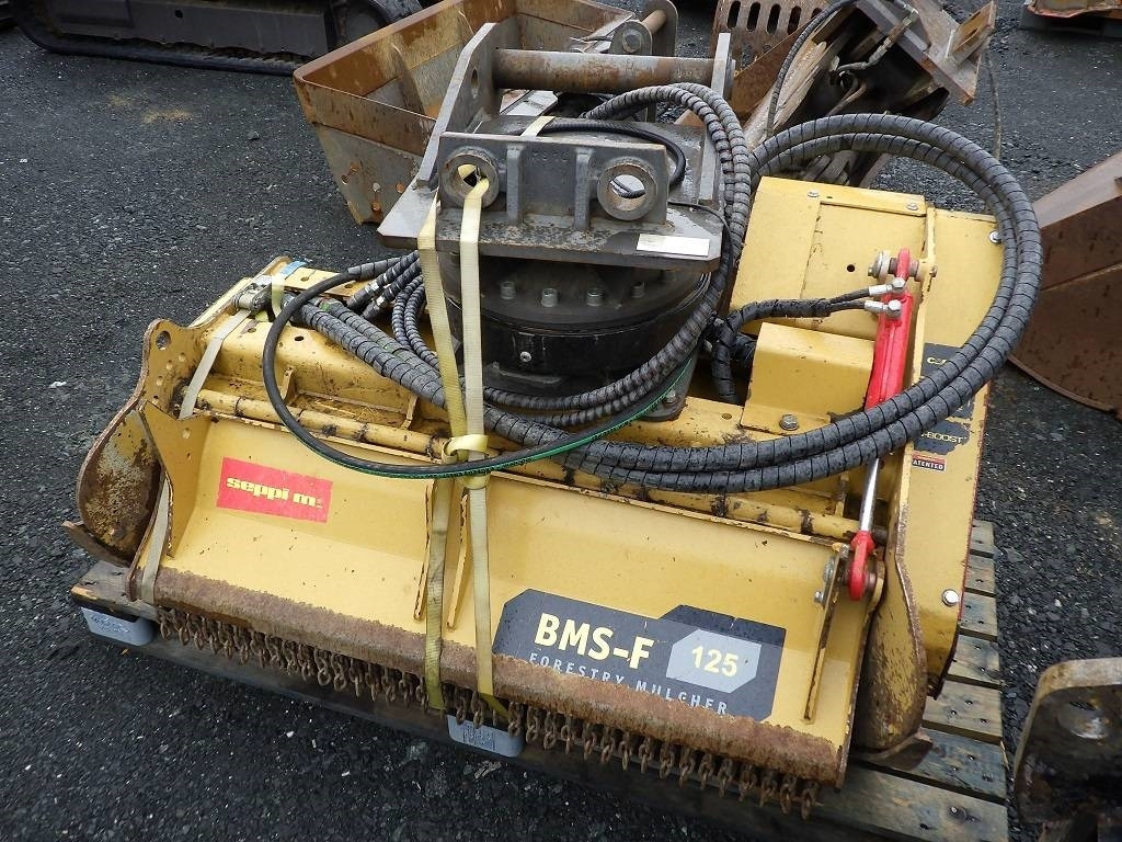 Seppi BMS-F125 - التقطيع جزازة/ ماكينات قطع الحشائش: صور 1 Seppi BMS-F125 - التقطيع جزازة/ ماكينات قطع الحشائش: صور 1