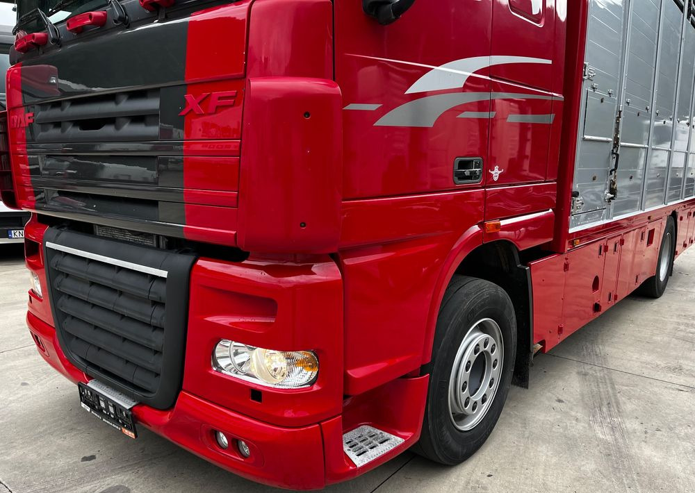 DAF XF 105.460 Euro 5 // Manual // Retarder // Do Żywca / Bydła / Zwierząt / - شاحنة نقل المواشي شاحنة: صور 4 DAF XF 105.460 Euro 5 // Manual // Retarder // Do Żywca / Bydła / Zwierząt / - شاحنة نقل المواشي شاحنة: صور 4