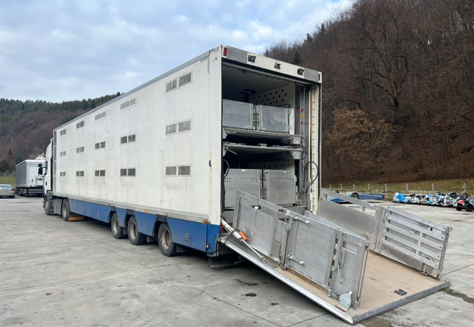 Pezzaioli HMK Industri // Do przewozu zwierząt // 2004 Rok // 3 Pokłady // Waga // Osi skrętne // Oznonacja // - شاحنة نقل المواشي نصف مقطورة: صور 1 Pezzaioli HMK Industri // Do przewozu zwierząt // 2004 Rok // 3 Pokłady // Waga // Osi skrętne // Oznonacja // - شاحنة نقل المواشي نصف مقطورة: صور 1