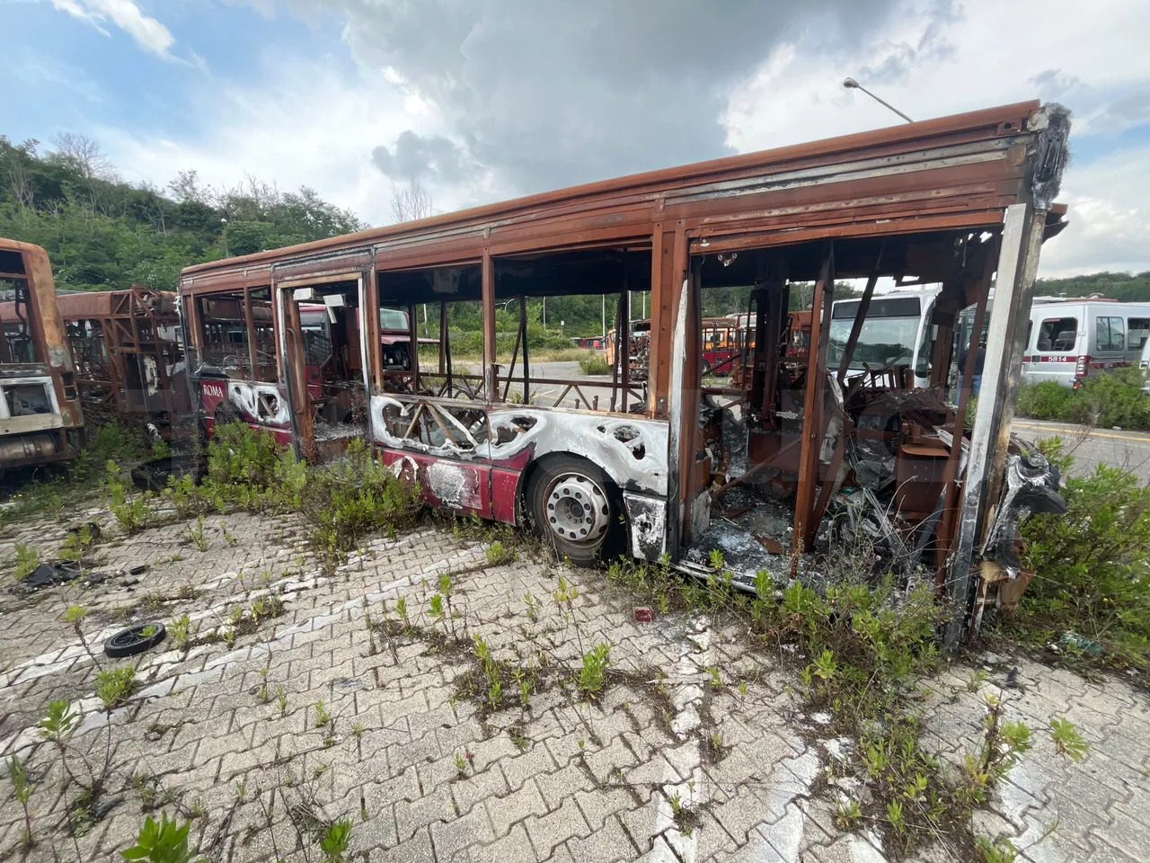 Bundle di 7 mezzi Iveco - Citelis Iveco - Citelis Iveco - Citelis Iveco - Citelis Iveco - Citelis Iveco - Citelis Iveco - Citelis - النقل الحضري: صور 3 Bundle di 7 mezzi Iveco - Citelis Iveco - Citelis Iveco - Citelis Iveco - Citelis Iveco - Citelis Iveco - Citelis Iveco - Citelis - النقل الحضري: صور 3