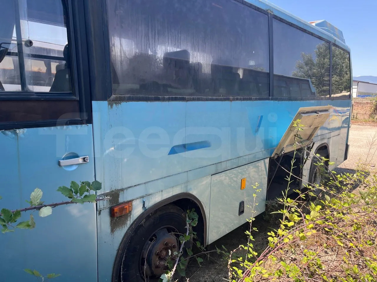 Iveco 315.8.17 - Menarini - سياحية حافلة: صور 2 Iveco 315.8.17 - Menarini - سياحية حافلة: صور 2