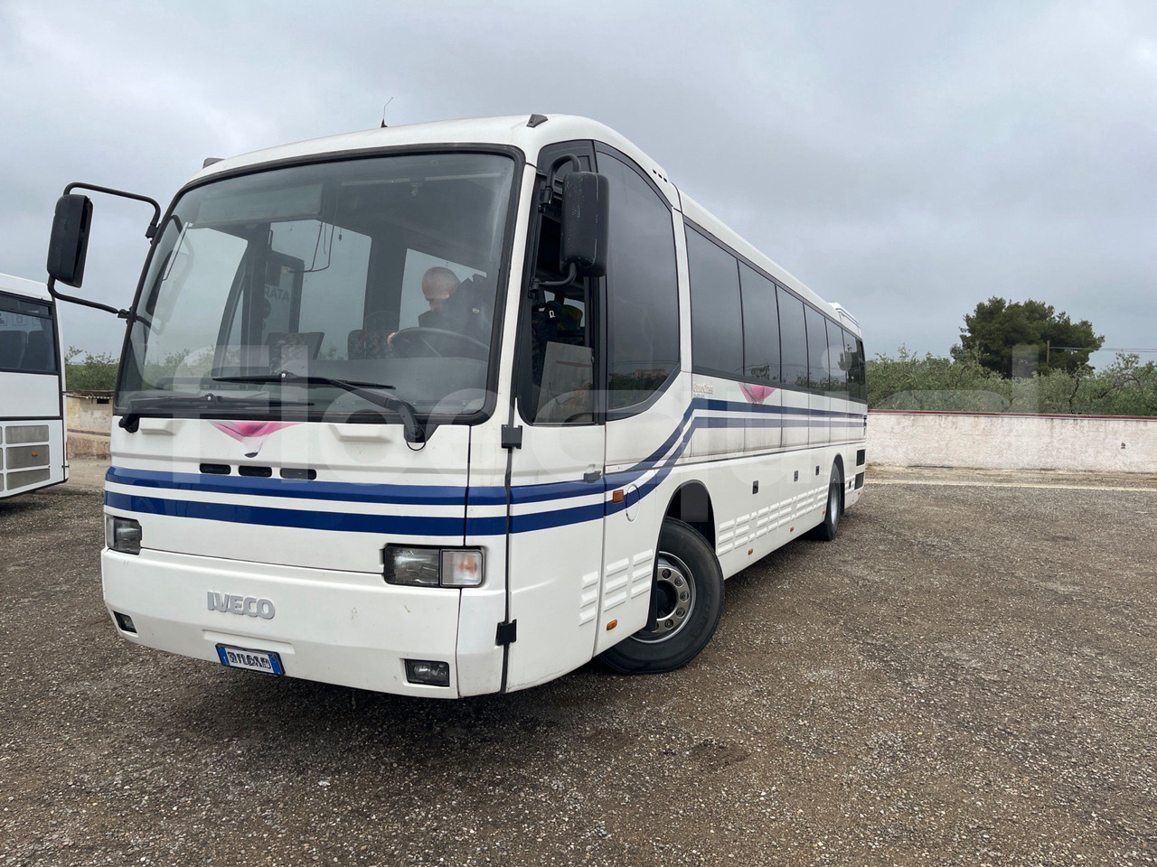 Iveco 380 - سياحية حافلة: صور 4 Iveco 380 - سياحية حافلة: صور 4