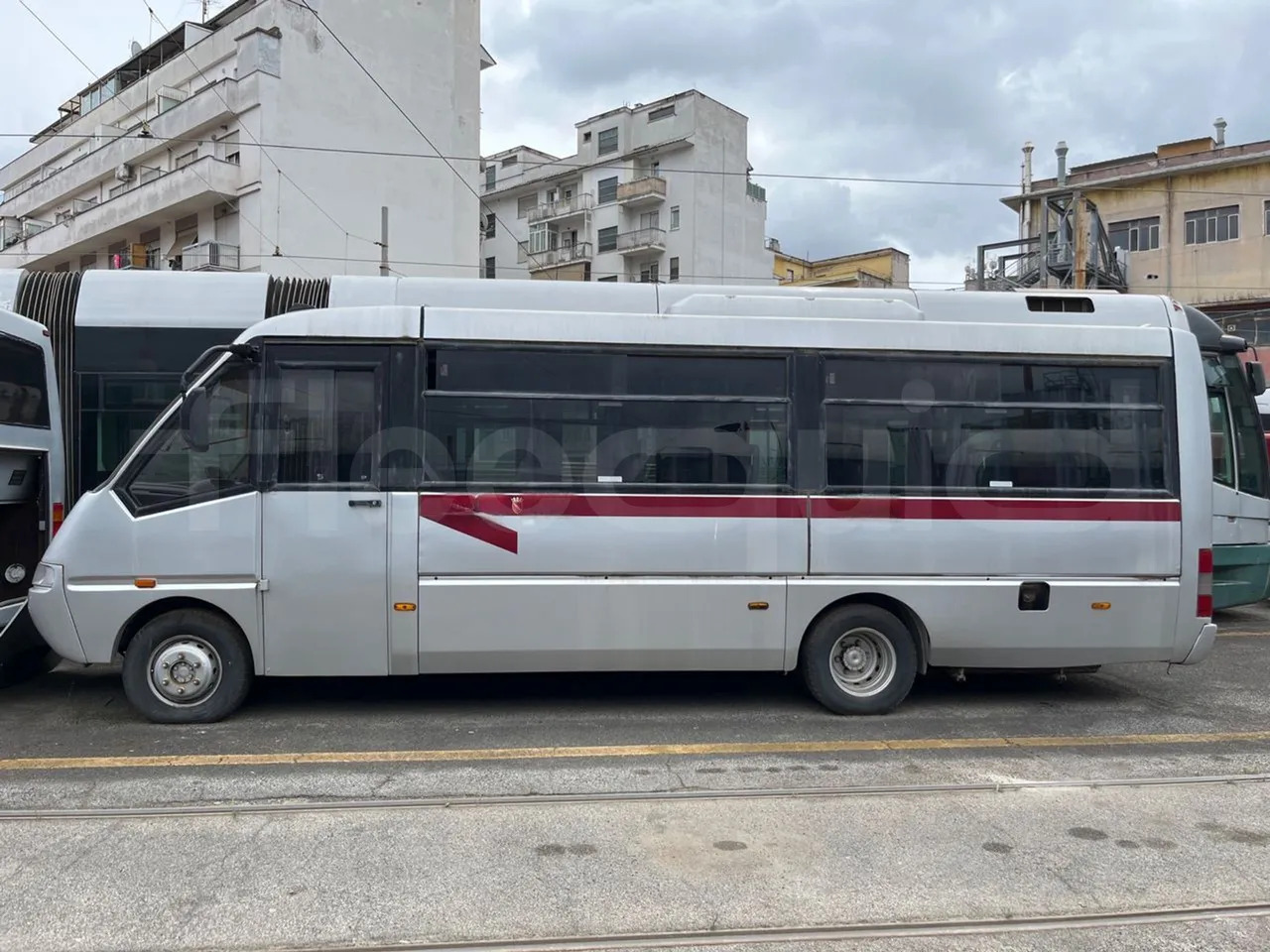 Iveco Cacciamali - حافلة مدرسية: صور 2 Iveco Cacciamali - حافلة مدرسية: صور 2