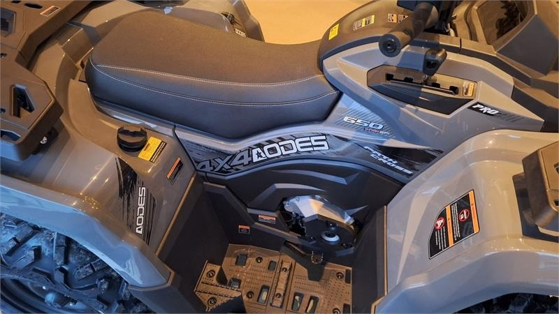 AODES PATHCROSS 650 L (T3A) fabriks ny - اتفس: صور 5 AODES PATHCROSS 650 L (T3A) fabriks ny - اتفس: صور 5