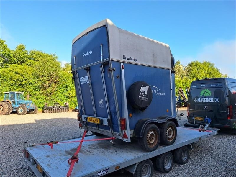 Brenderup 33 K HESTETRAILER - عربة نقل خيل: صور 2 Brenderup 33 K HESTETRAILER - عربة نقل خيل: صور 2