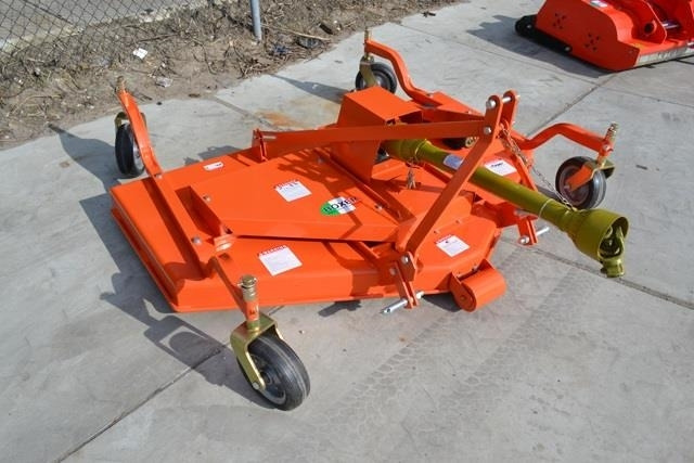 - - - boxer  - جزازة: صور 1 - - - boxer  - جزازة: صور 1