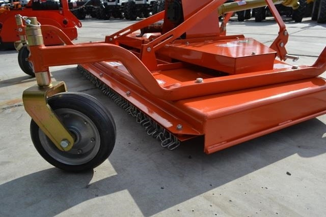 - - - boxer  - جزازة: صور 4 - - - boxer  - جزازة: صور 4