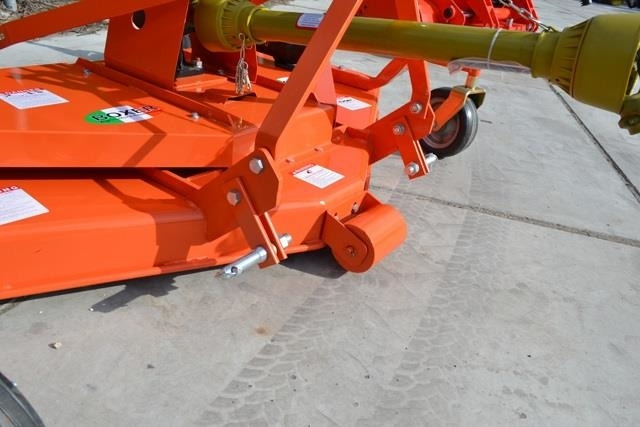 - - - boxer  - جزازة: صور 3 - - - boxer  - جزازة: صور 3