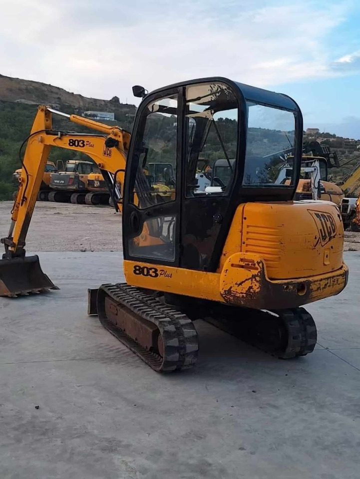 JCB 803 - حفارة مصغرة: صور 3 JCB 803 - حفارة مصغرة: صور 3