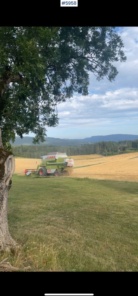 1993 Claas Commandor 228 CS - حصادة شاملة: صور 5 1993 Claas Commandor 228 CS - حصادة شاملة: صور 5