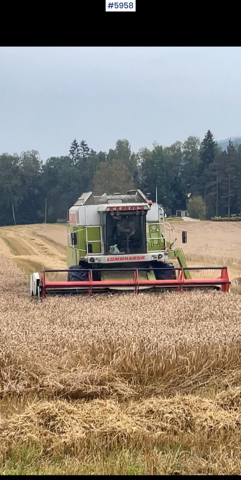 1993 Claas Commandor 228 CS - حصادة شاملة: صور 3 1993 Claas Commandor 228 CS - حصادة شاملة: صور 3