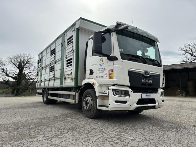 MAN M 90 15.290 TGM - شاحنة نقل المواشي شاحنة: صور 4 MAN M 90 15.290 TGM - شاحنة نقل المواشي شاحنة: صور 4
