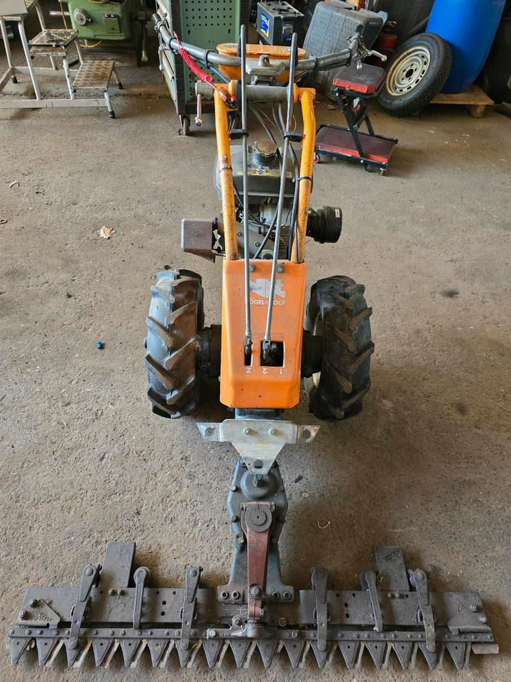 Vogel und Not Balkenmäher Hangmäher Böschungsmäher Mähbalken Rapid Reform Mulcher - جزازة المروج: صور 3 Vogel und Not Balkenmäher Hangmäher Böschungsmäher Mähbalken Rapid Reform Mulcher - جزازة المروج: صور 3