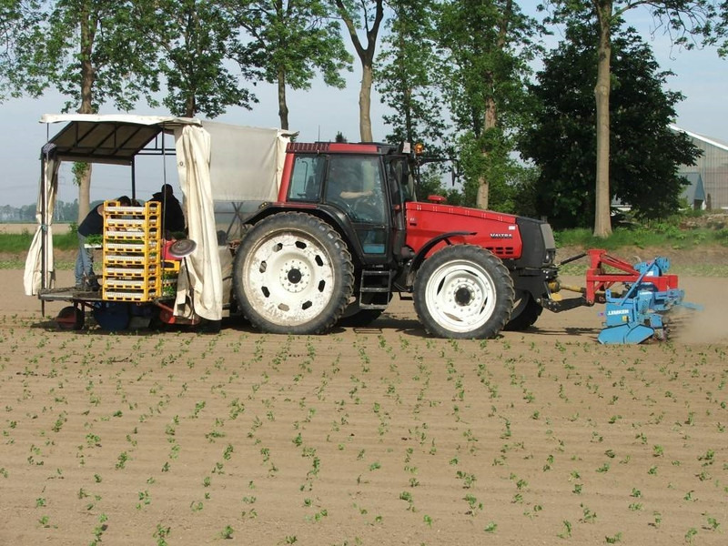 Valtra Valmet Zuidberg Fronthef - جرار: صور 4 Valtra Valmet Zuidberg Fronthef - جرار: صور 4