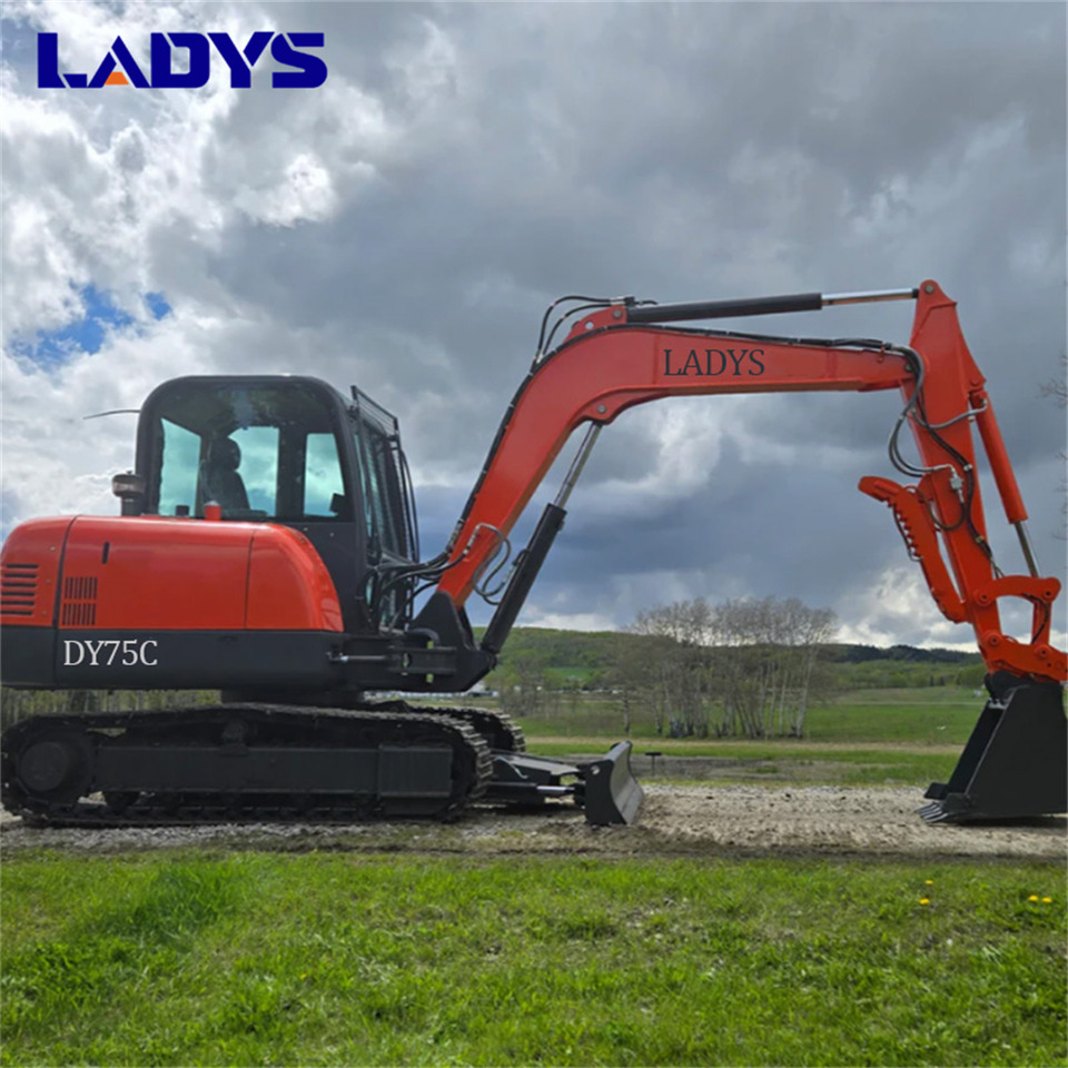 LADYS DY75C Small Excavator Euro 5/Epa Yanmar Engine Small Excavator Crawler Excavator For Sale - حفارات زحافة: صور 1 LADYS DY75C Small Excavator Euro 5/Epa Yanmar Engine Small Excavator Crawler Excavator For Sale - حفارات زحافة: صور 1