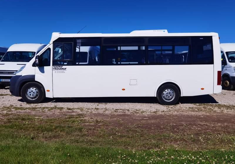 Fiat Ducato miejski, przewóz osób niepełnosprawnych - النقل الحضري: صور 5 Fiat Ducato miejski, przewóz osób niepełnosprawnych - النقل الحضري: صور 5