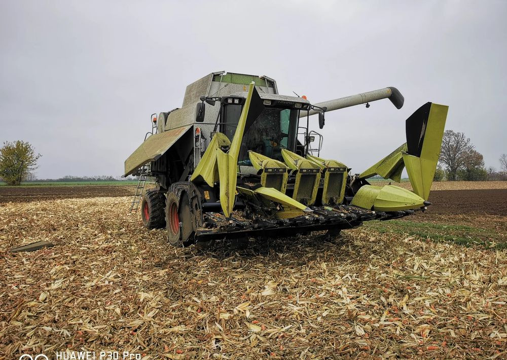 حصادات الذرة جديد Oros Cornado 6 4+2R Nowa Przystawka do kukurydzy: صور 7