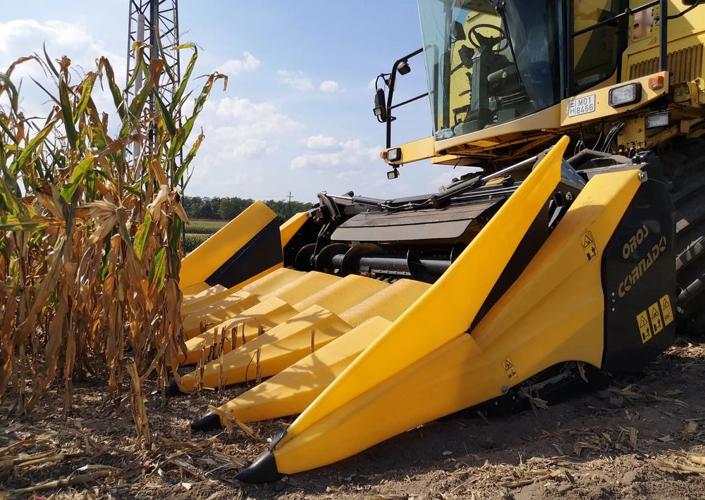 حصادات الذرة جديد Oros Cornado 6 4+2R Nowa Przystawka do kukurydzy: صور 5